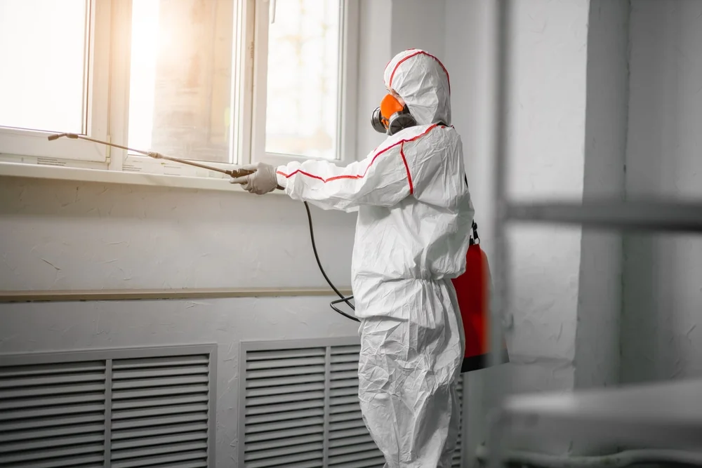 Professional mold remediation services in Columbus, TX